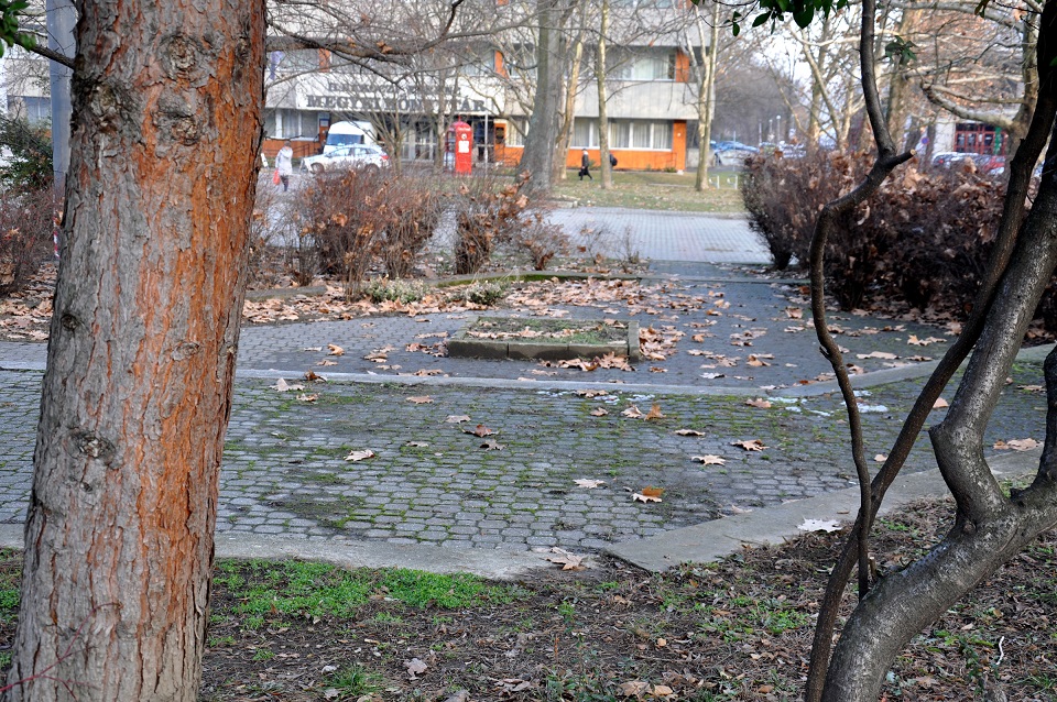Városi Esték: a Népkert